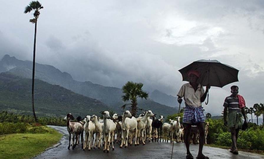 Tamil Nadu likely to get rain
